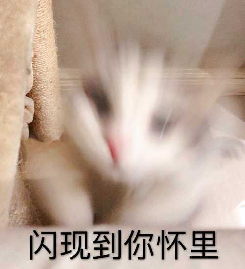 闪现到你怀里