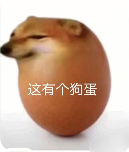 这有个狗蛋