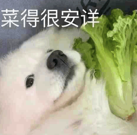 菜得很安详