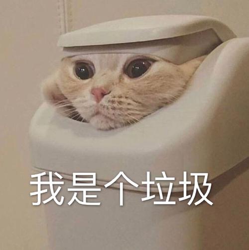 我是个垃圾