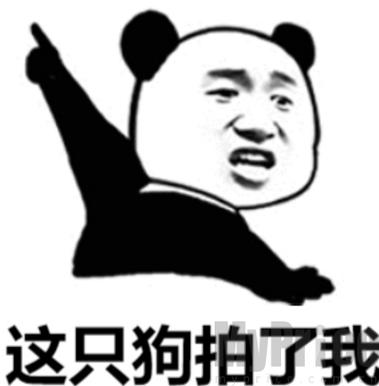 这只狗拍了我
