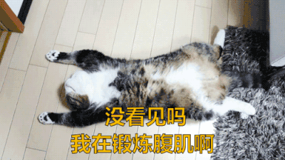 没看见吗 我在锻炼腹肌啊