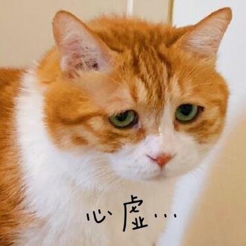 心 虚