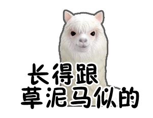 长得跟 草泥马似的