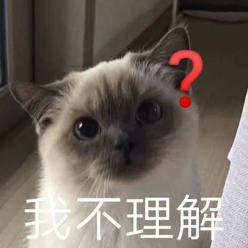 我不理解