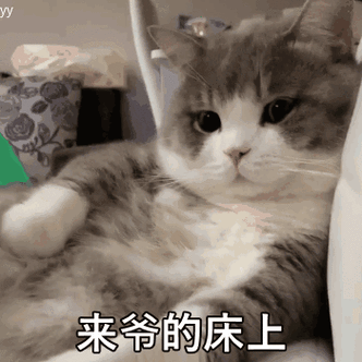 来爷的床上