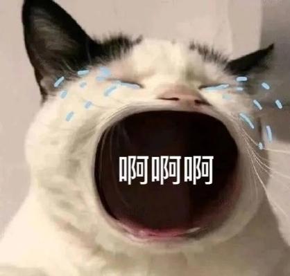 啊啊啊