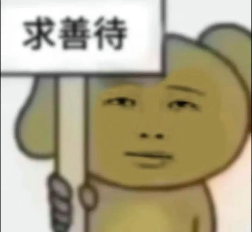 求善待