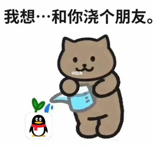 我想···和你浇个朋友。 
