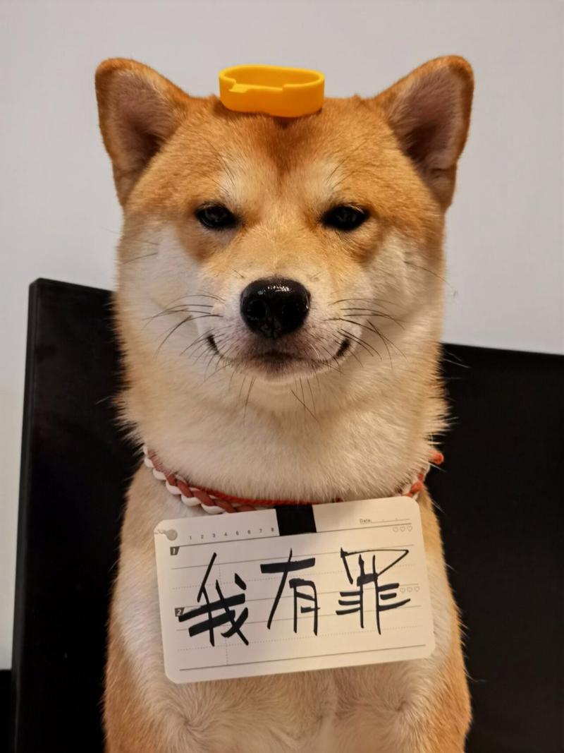 我有罪