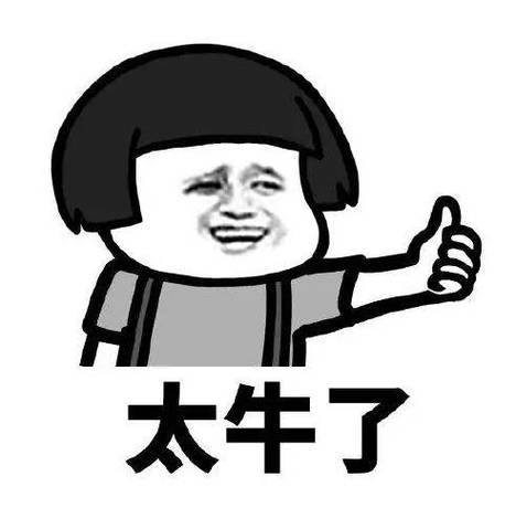太牛了