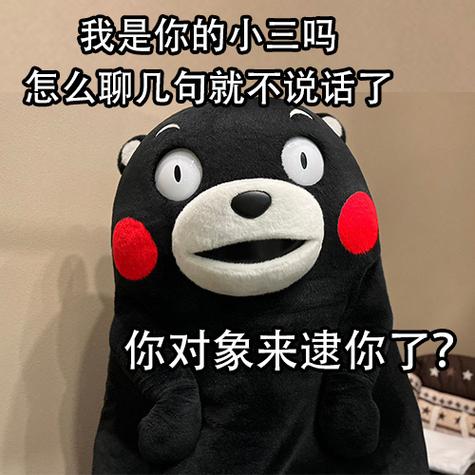 我是你的小三吗 怎么聊几句就不说话了 你对象来逮你了？