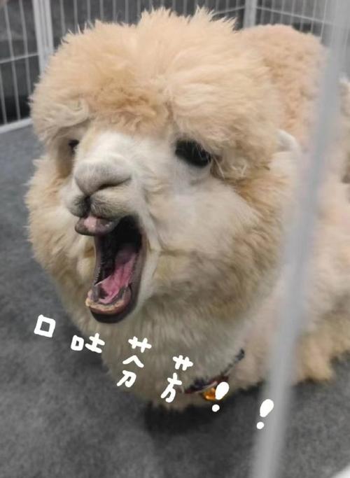 口吐#
