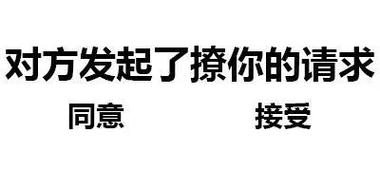 对方发起了撩你的请求 同意 接受