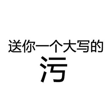 送你一个大写的 污
