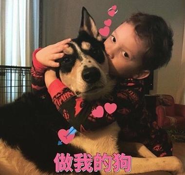 做我的狗