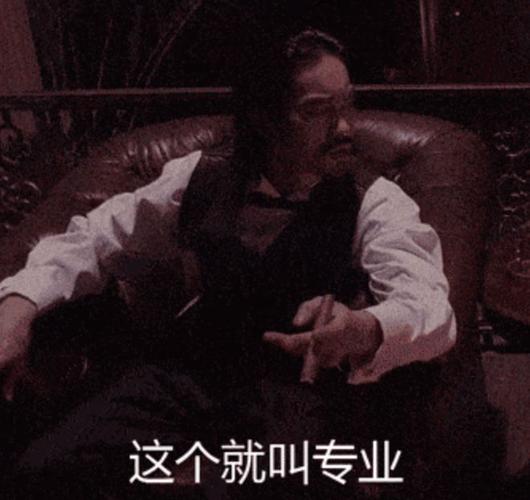 这个就叫专业