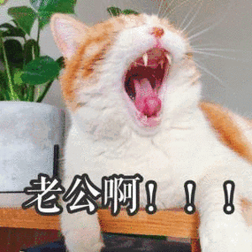 老公啊！！！