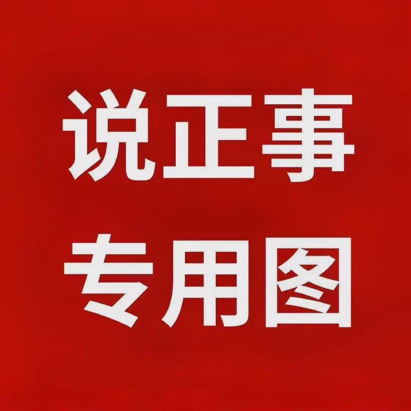说正事 专用图