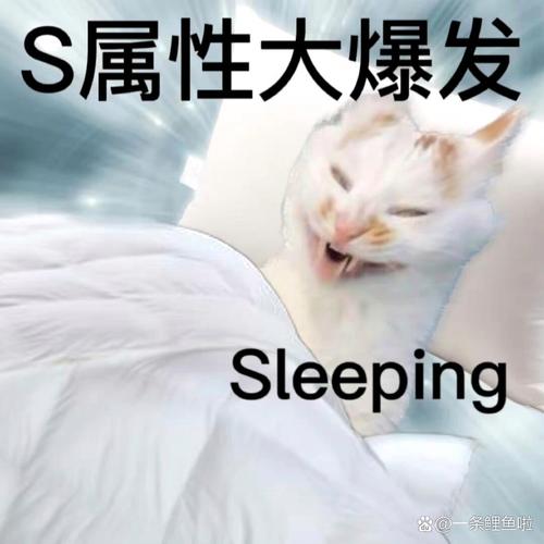 S属性大爆发 Sleeping @一条鲤鱼啦