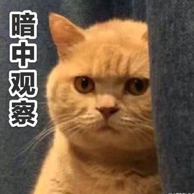 暗中观察